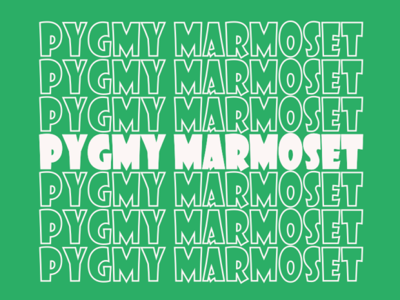Pygmy Marmoset SVG Cut File: Graphics for Playful Print Templates